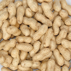 PEANUT IN SHELL&ROASTED PEANUT IN SHELL