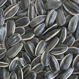 SUNFLOWER SEEDS