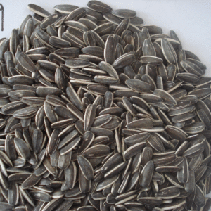 SUNFLOWER SEEDS