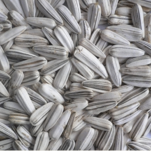 WHITE SUNFLOWER SEEDS