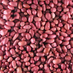 PEANUT KERNELS (RED SKIN)