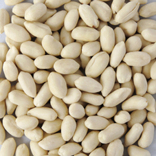 BLANCHED PEANUT KERNELS (LONG SHAPE)