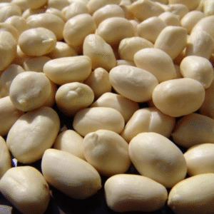 BLANCHED PEANUT KERNELS (ROUND SHAPE)