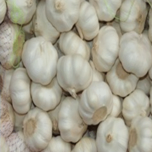FRESH GARLIC