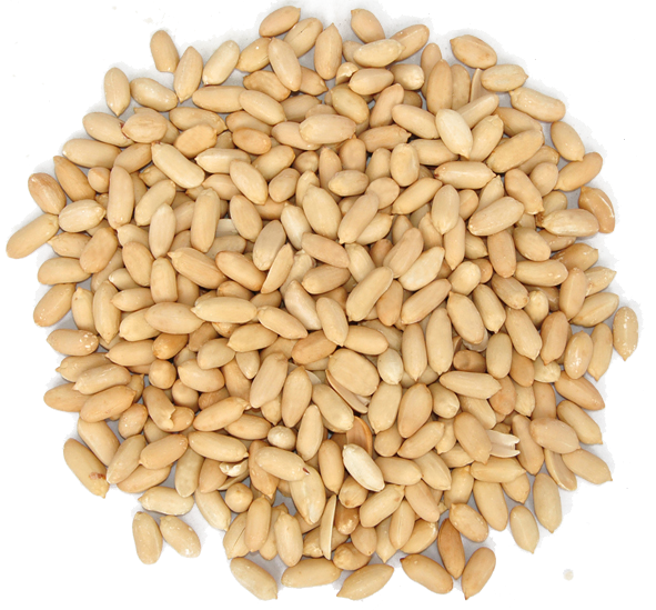 roasted blanched peanut (1)